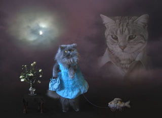Illustration for article titled In Which I Troll eHarmony's Algorithms